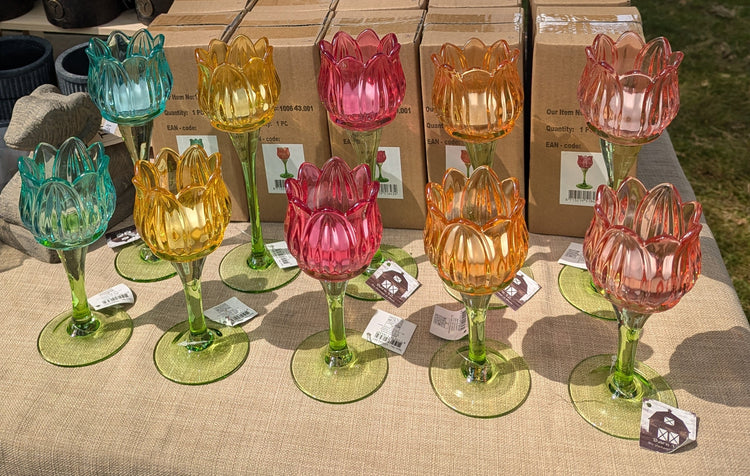 Tulpen glaasjes