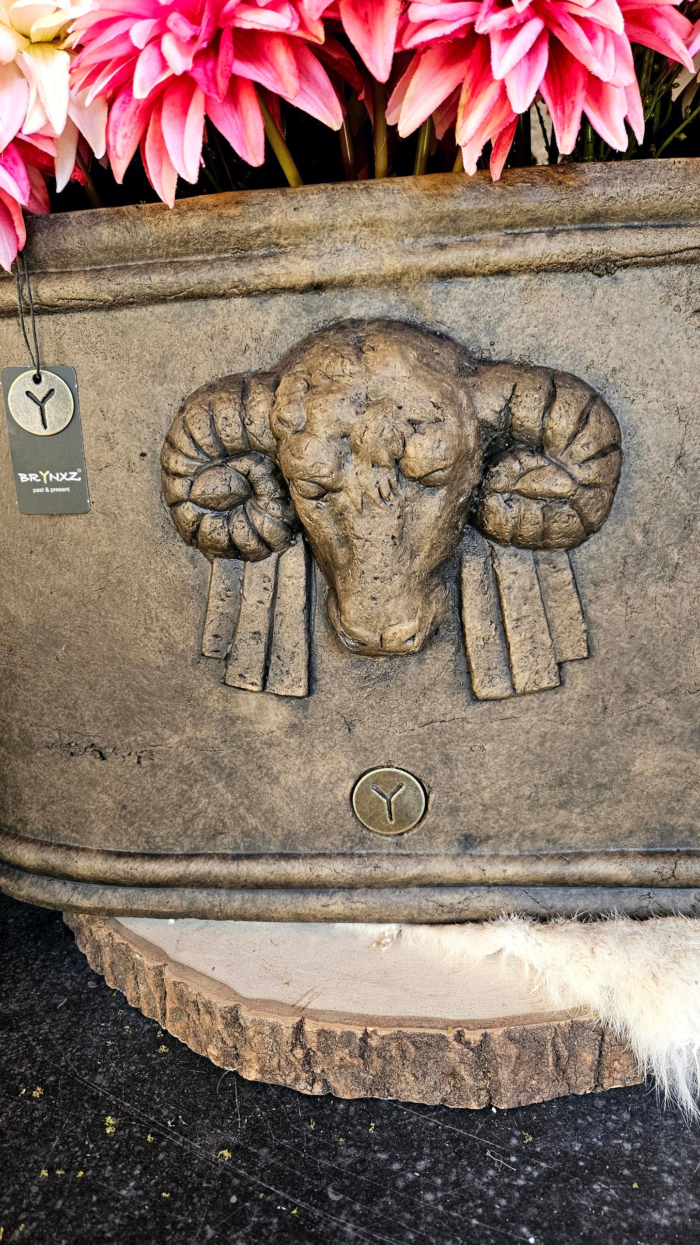 Brynxz Planter Oval with Ram L Brynxz Online