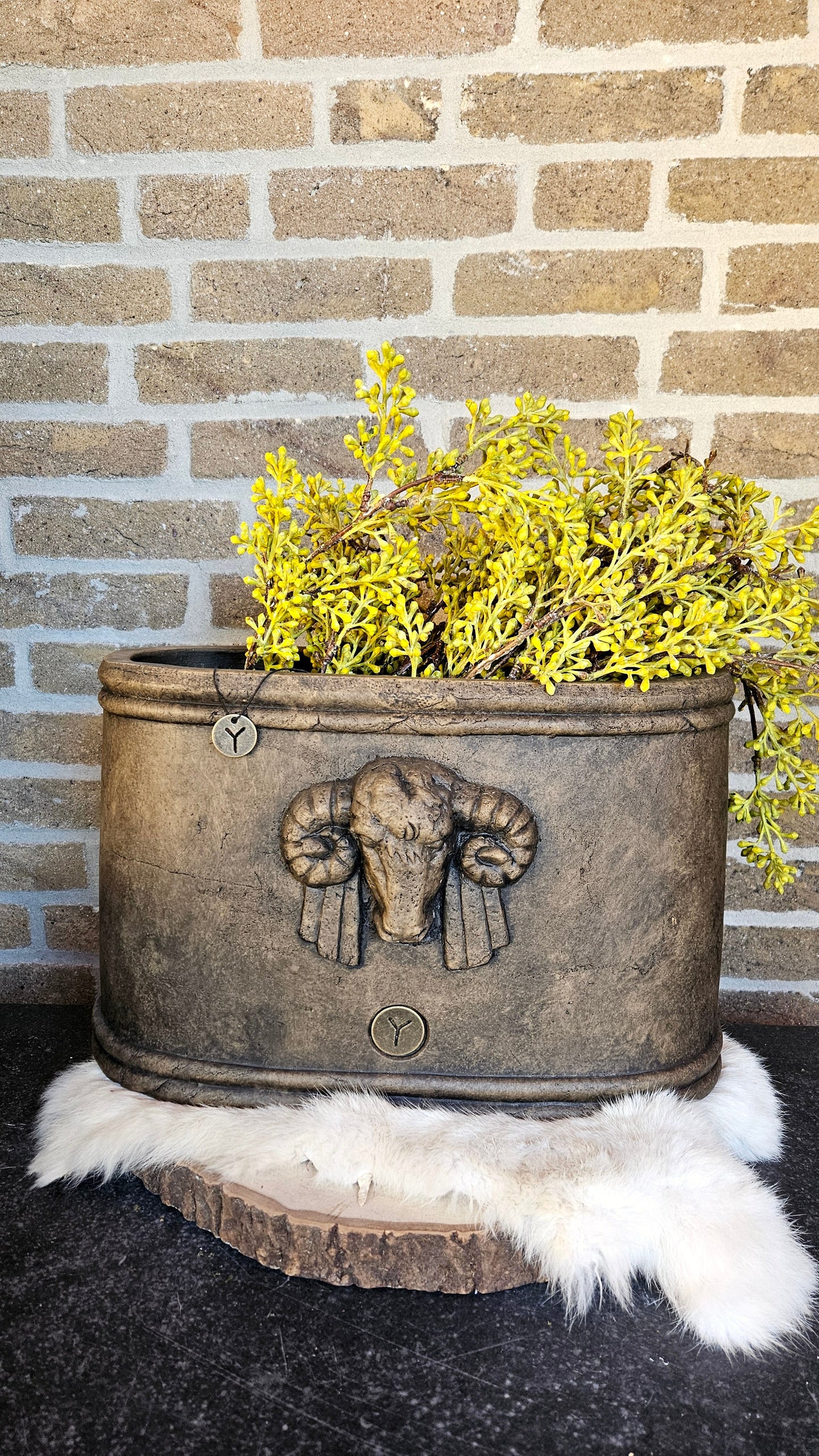 Brynxz Planter Oval with Ram M Brynxz Online