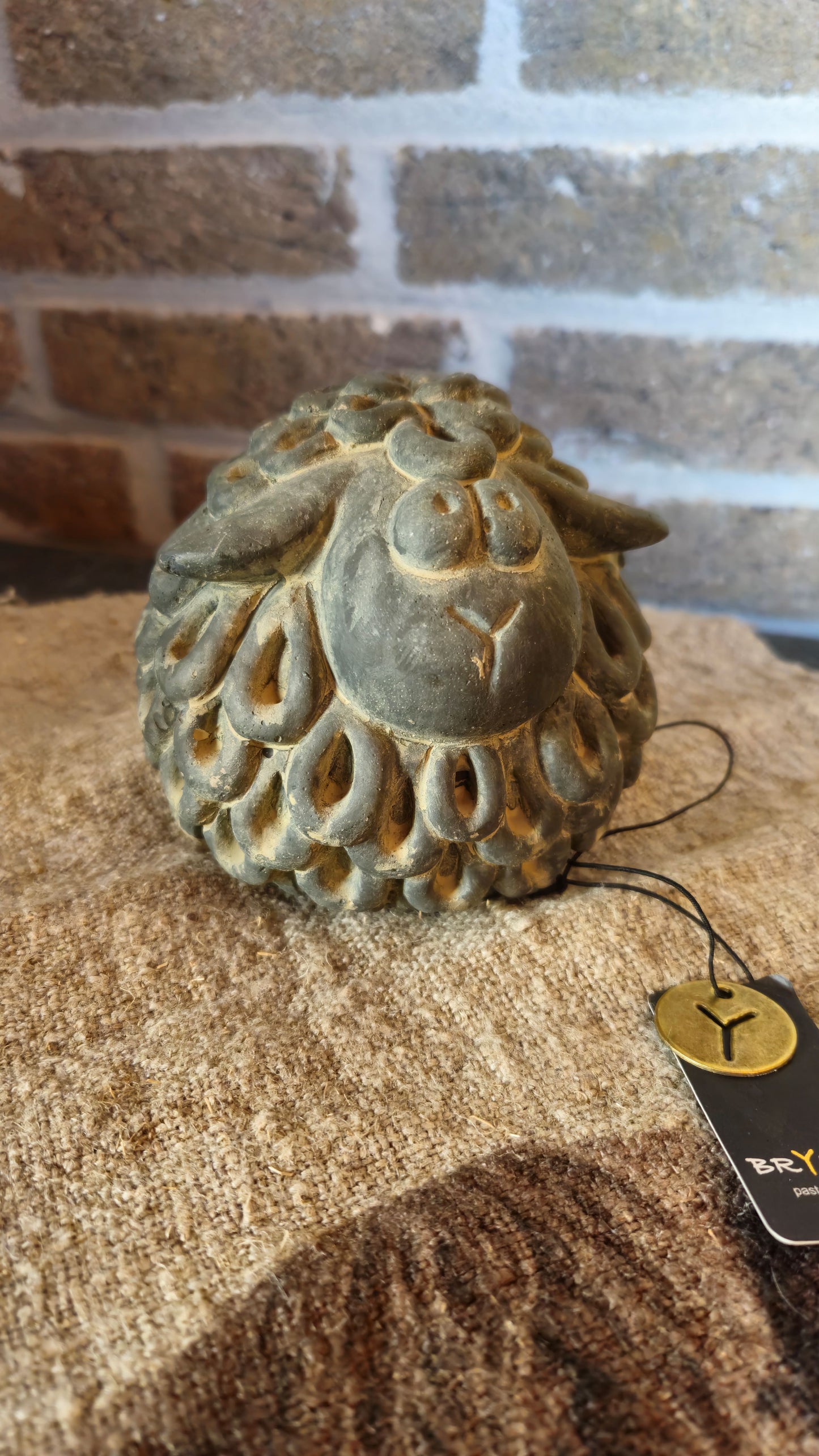 Brynxz Sheep Knot M