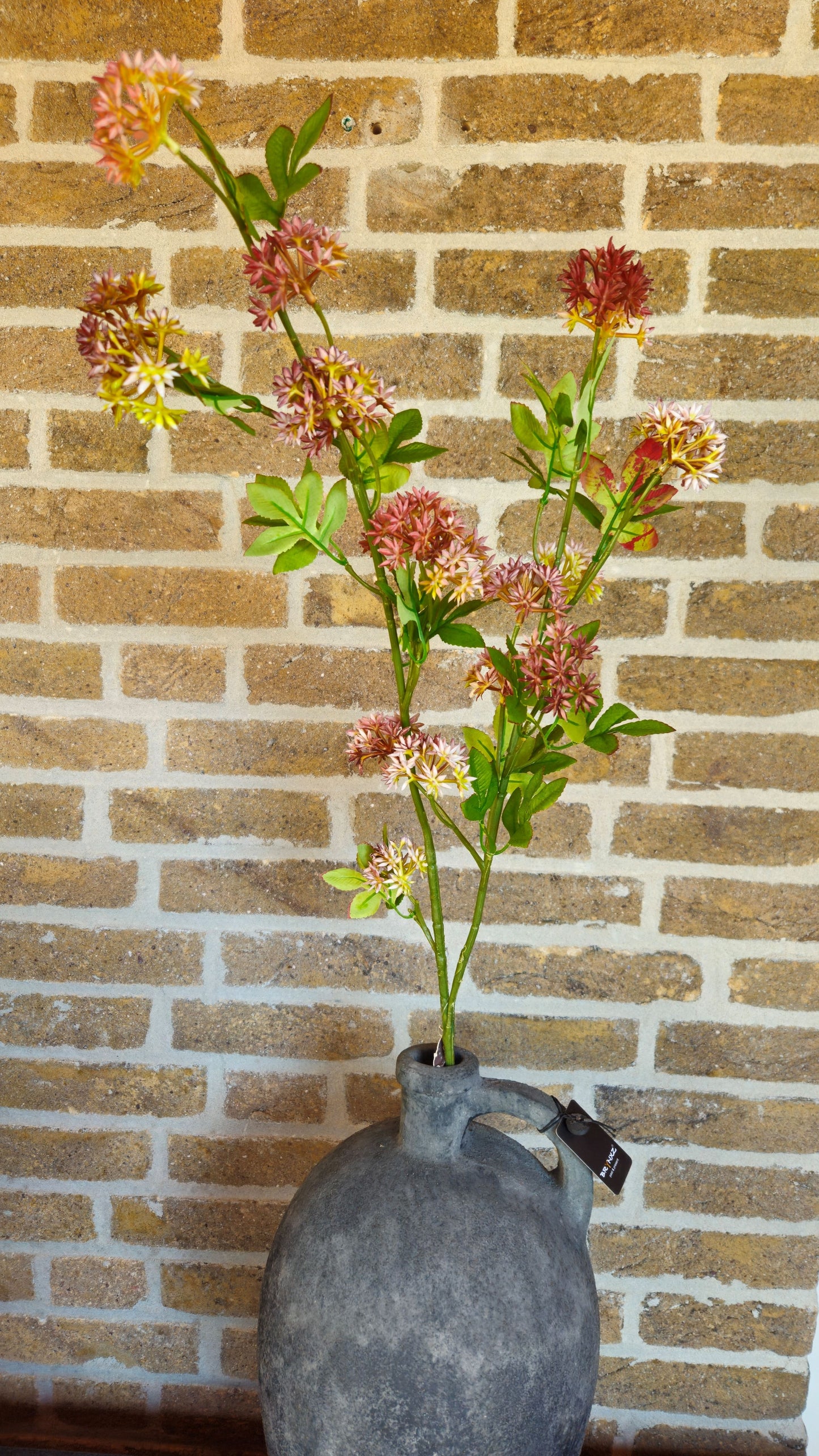 Brynxz Bouvardia Autumn Brynxz Online