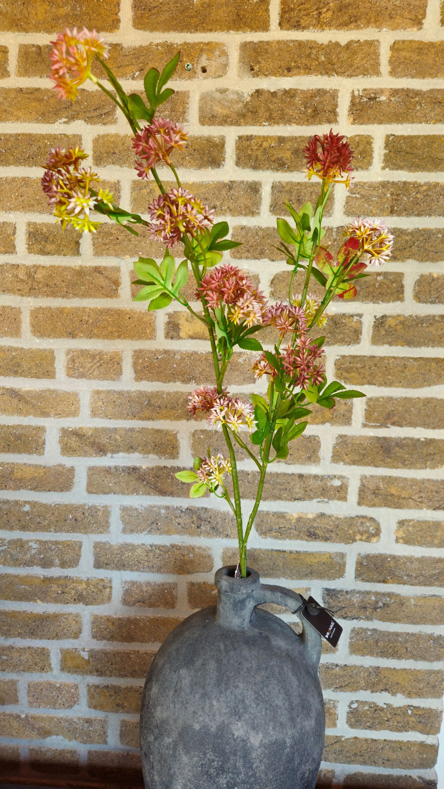 Brynxz Bouvardia Autumn Brynxz Online