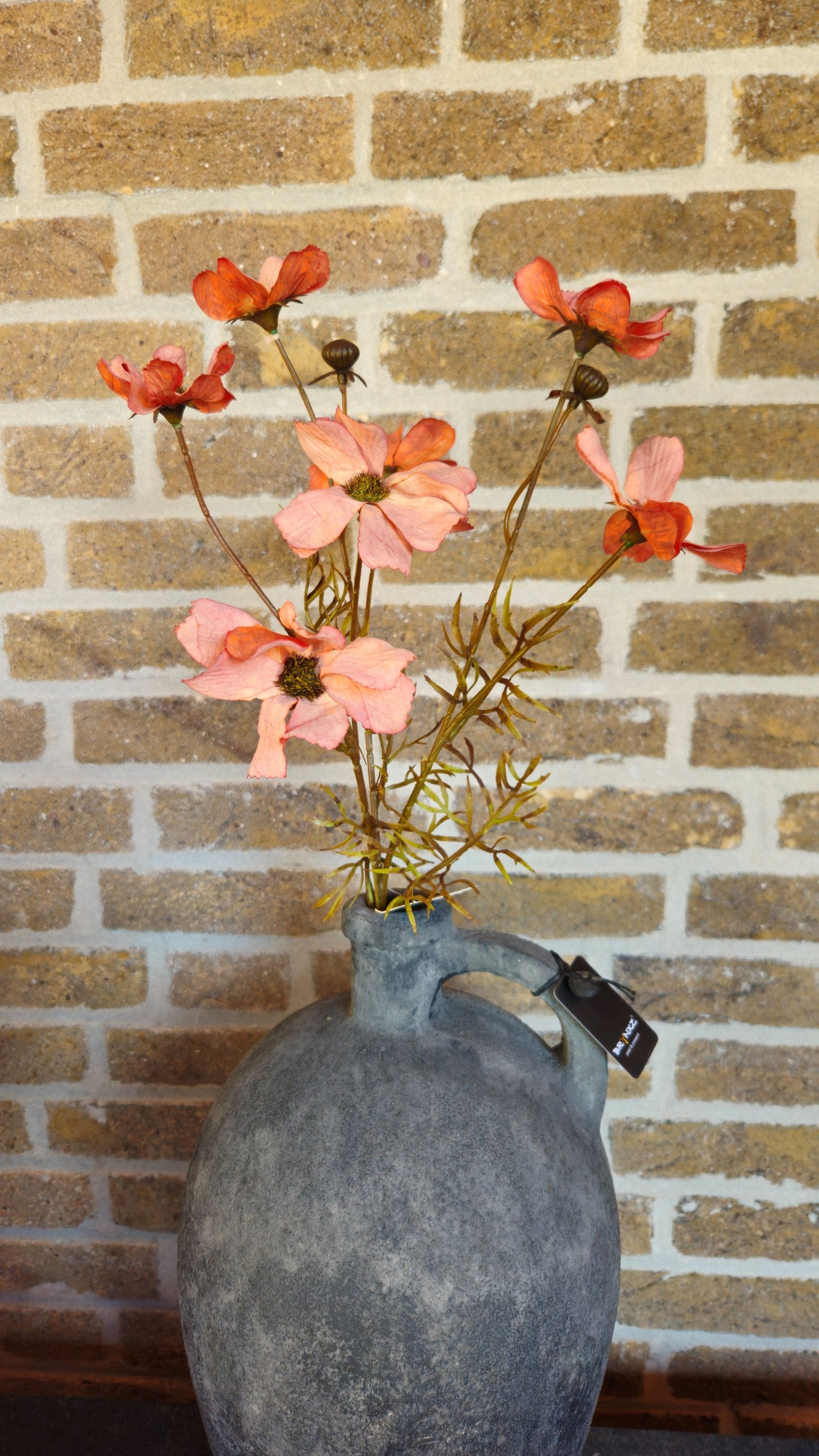 Brynxz Cornus Kousa ant. Orange Brynxz Online