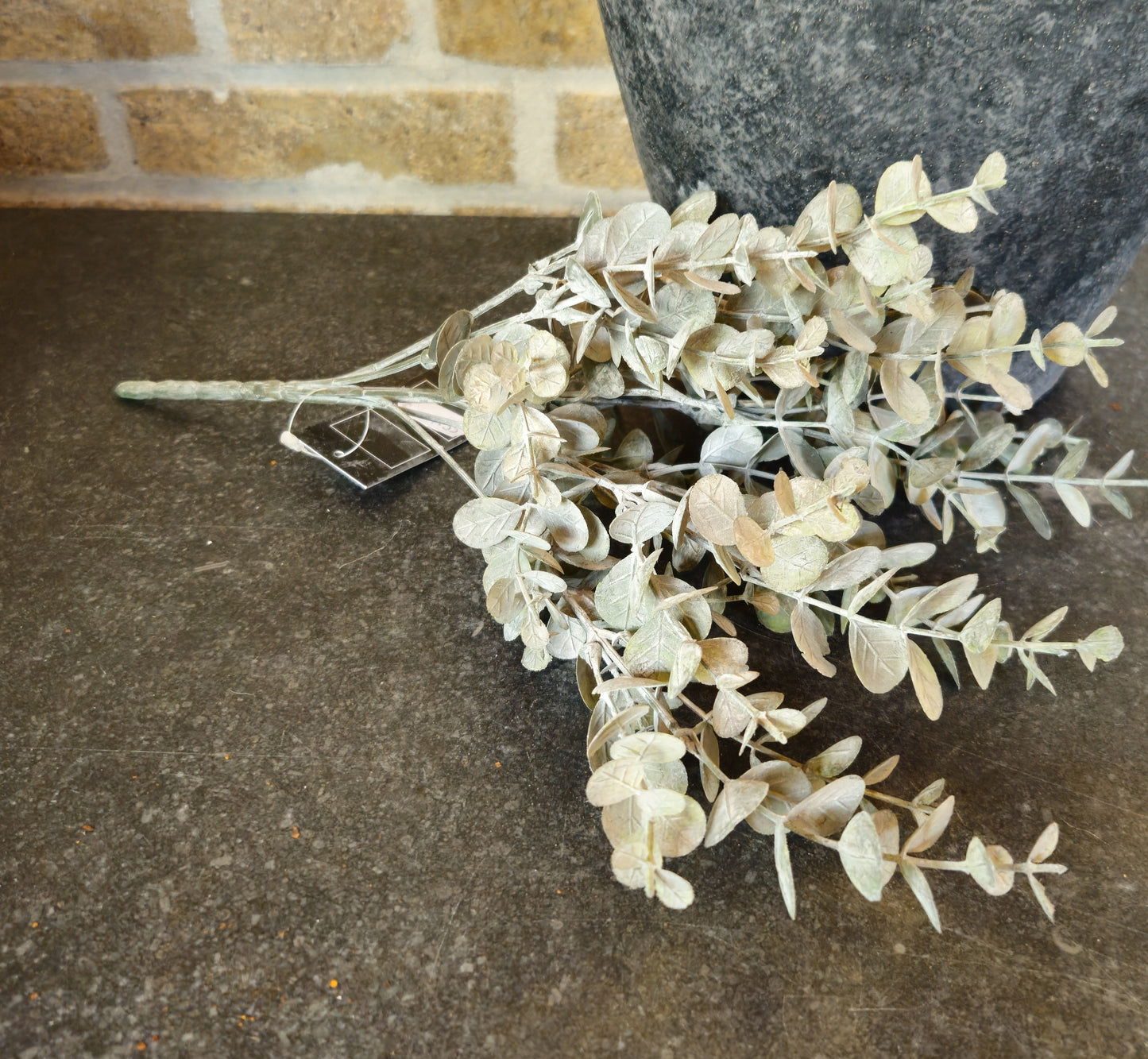 Eucalyptus bosjes Brynxz Online