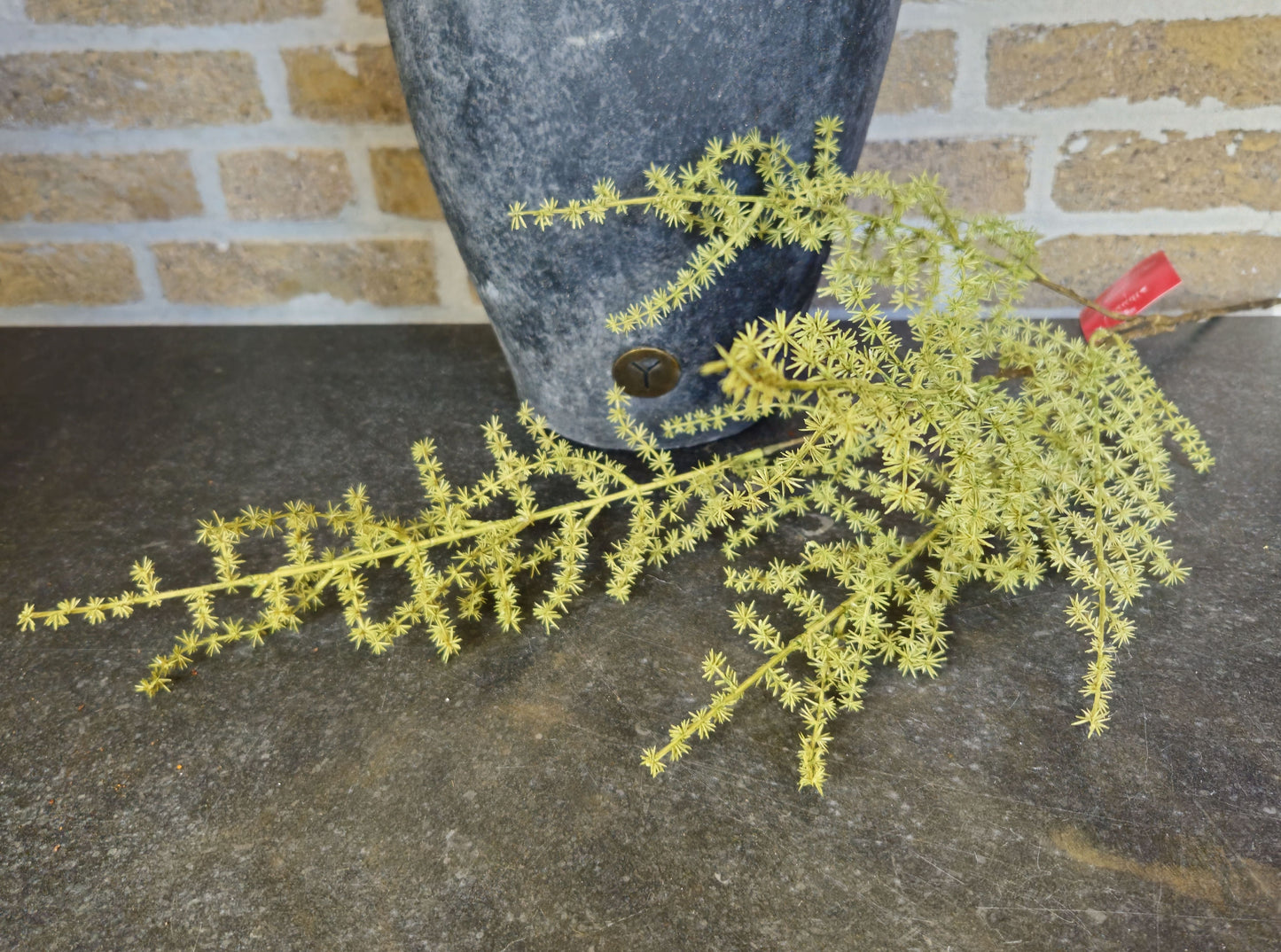 Kunst Asperagus tak Brynxz Online