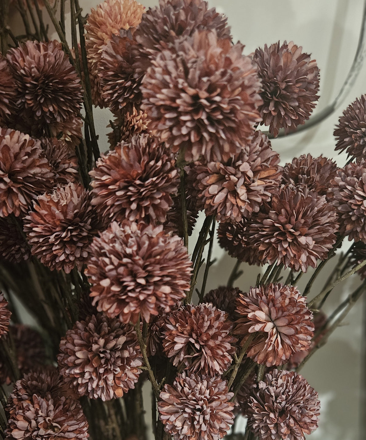 Sylxz Chrysanthemum Aurumn Grande