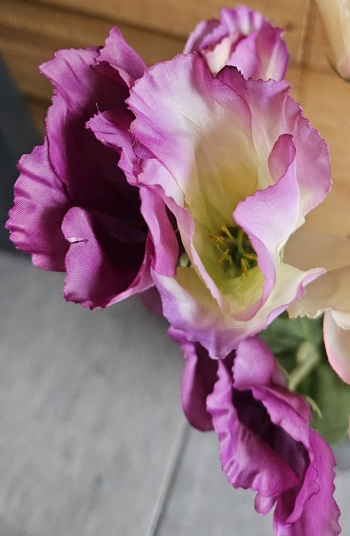 Sylxz Lysianthus