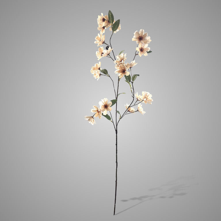 Brynxz Cornus Grande De Luxe off White 100 cm