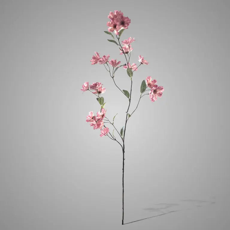 Brynxz Cornus Grande de Luxe Ant. Pink 100 cm - Brynxz Online By O zo sfeervol