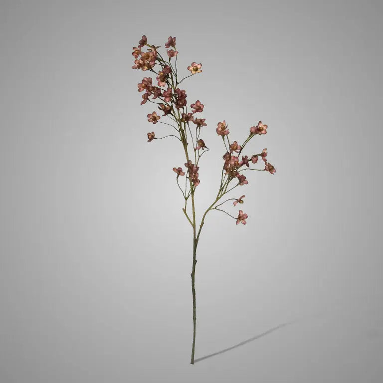 Brynxz Cornus Purple M - Brynxz Online By O zo sfeervol