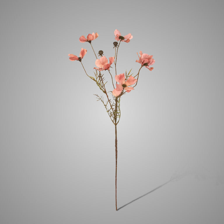 Brynxz Cornus Kousa Ant. Pink - Brynxz Online By O zo sfeervol
