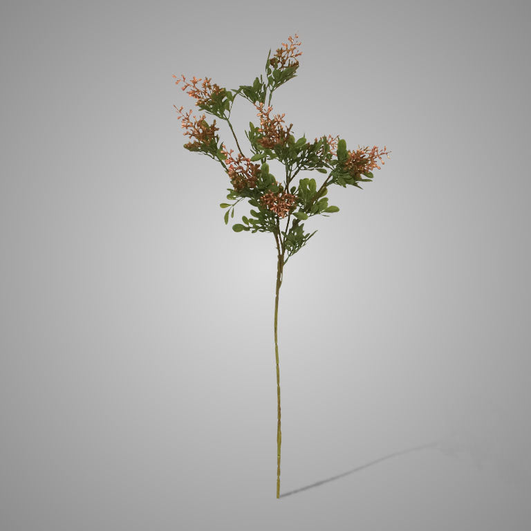 Brynxz Enkianthus Old Pink - Brynxz Online By O zo sfeervol