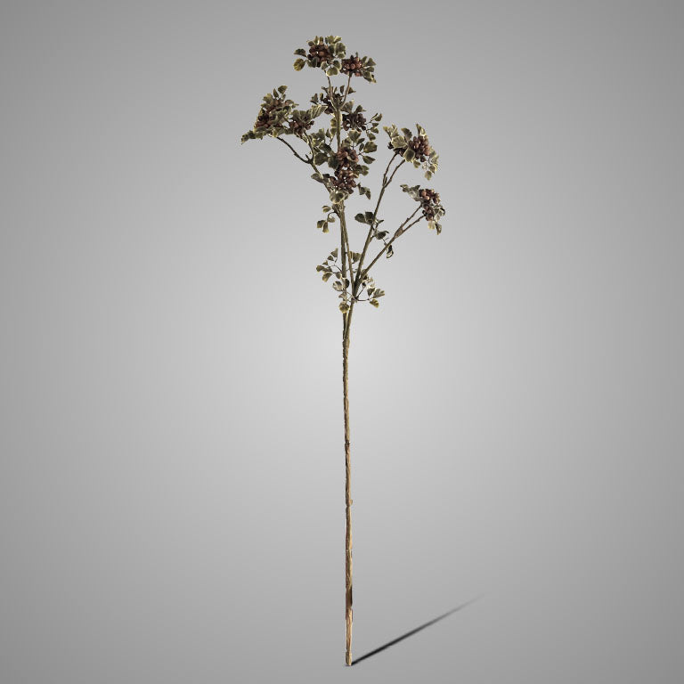 Brynxz Sedum Wild with Berry brown 55 cm