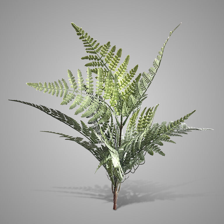 Brynxz Bush Fern Classic Grey Green 50 cm