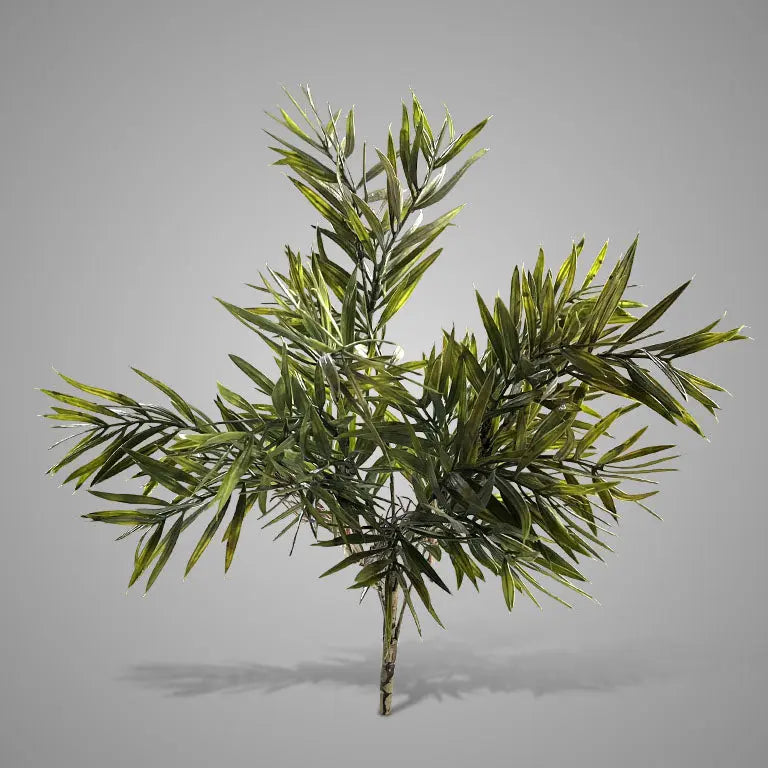 Brynxz Bush Bamboo 42 cm - Brynxz Online By O zo sfeervol