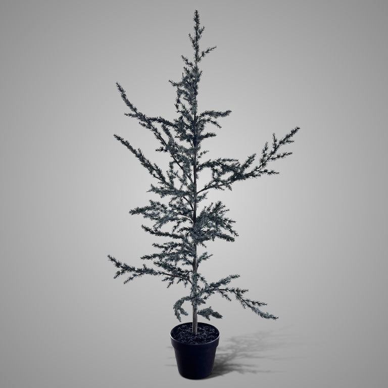 Brynxz Tree Ceder Grey M