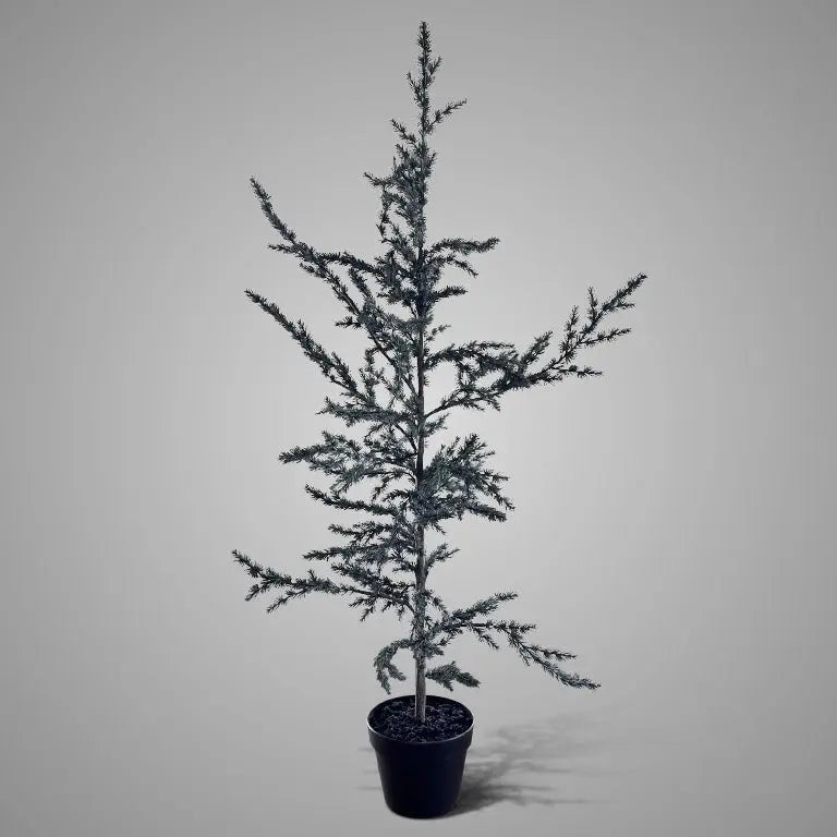 Brynxz Tree Ceder Grey M - Brynxz Online By O zo sfeervol