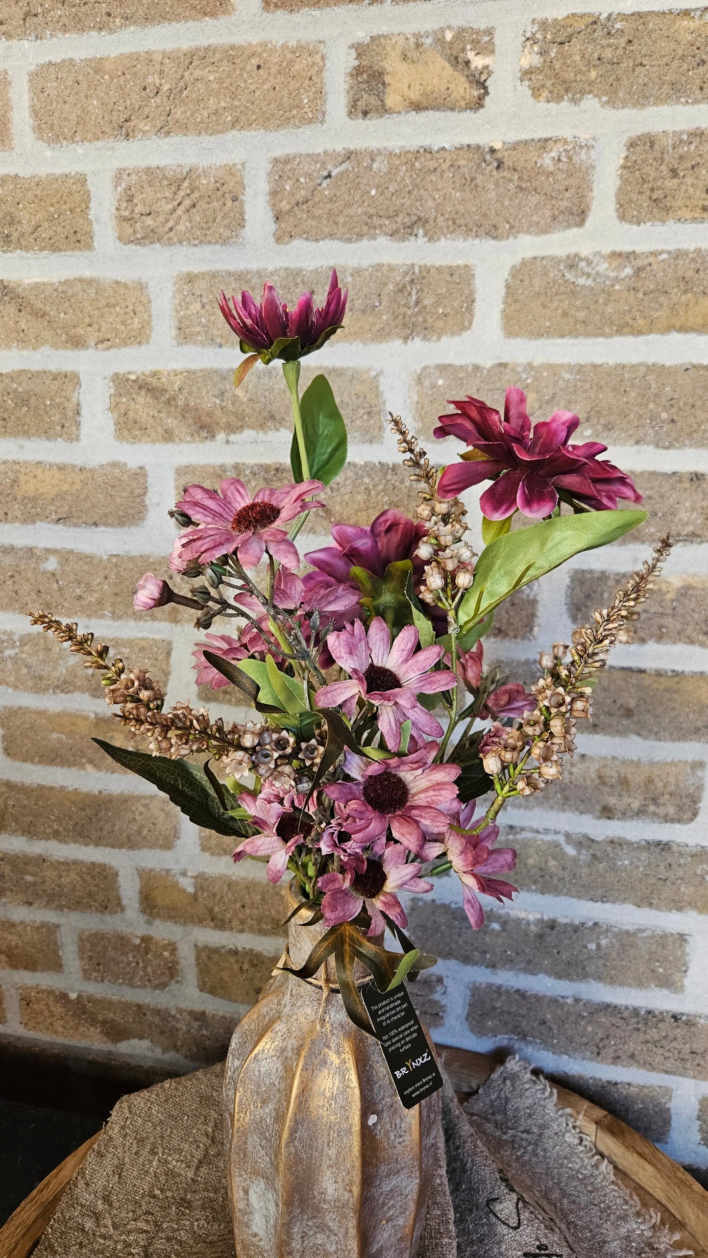 Brynxz / Sylxz Set nr 27 Brynxz Online