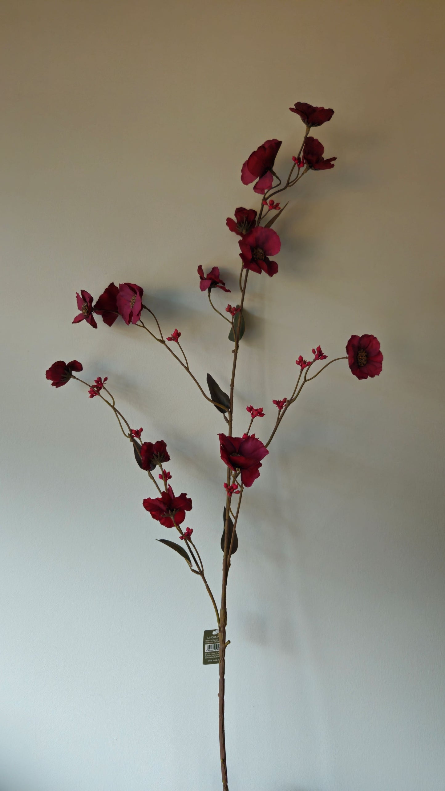 Brynxz Hibiscus Grande Aubergine