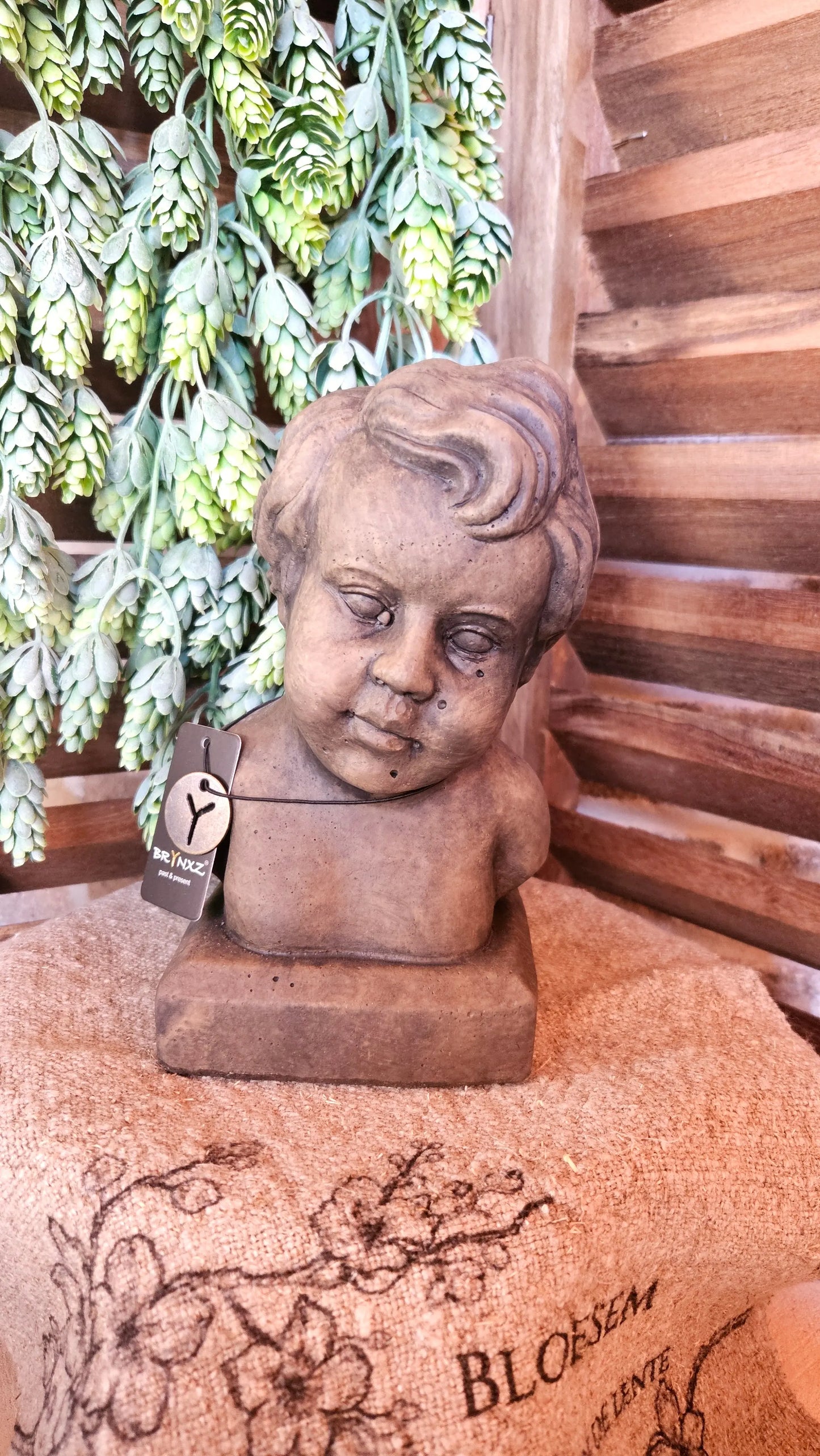 Brynxz Bust of Julian - Brynxz Online By O zo sfeervol