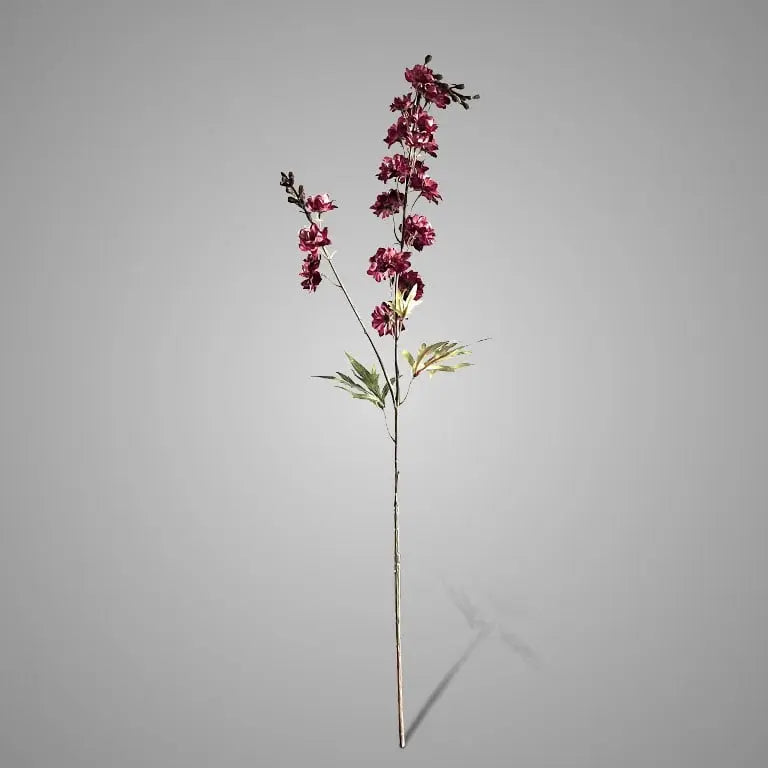 Brynxz Delphinium Burgundy 90 cm - Brynxz Online By O zo sfeervol