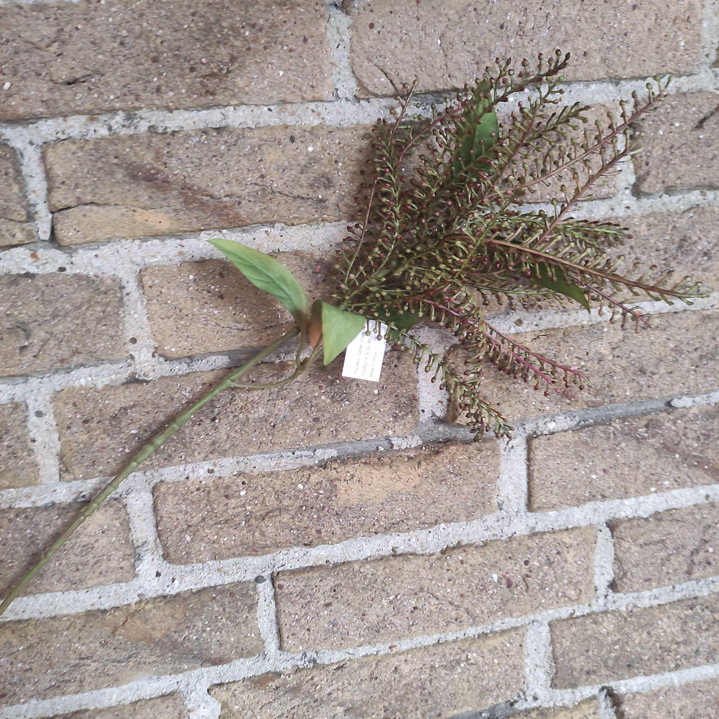 Brynxz Pieriszweig 65 cm - Brynxz Online By O zo sfeervol