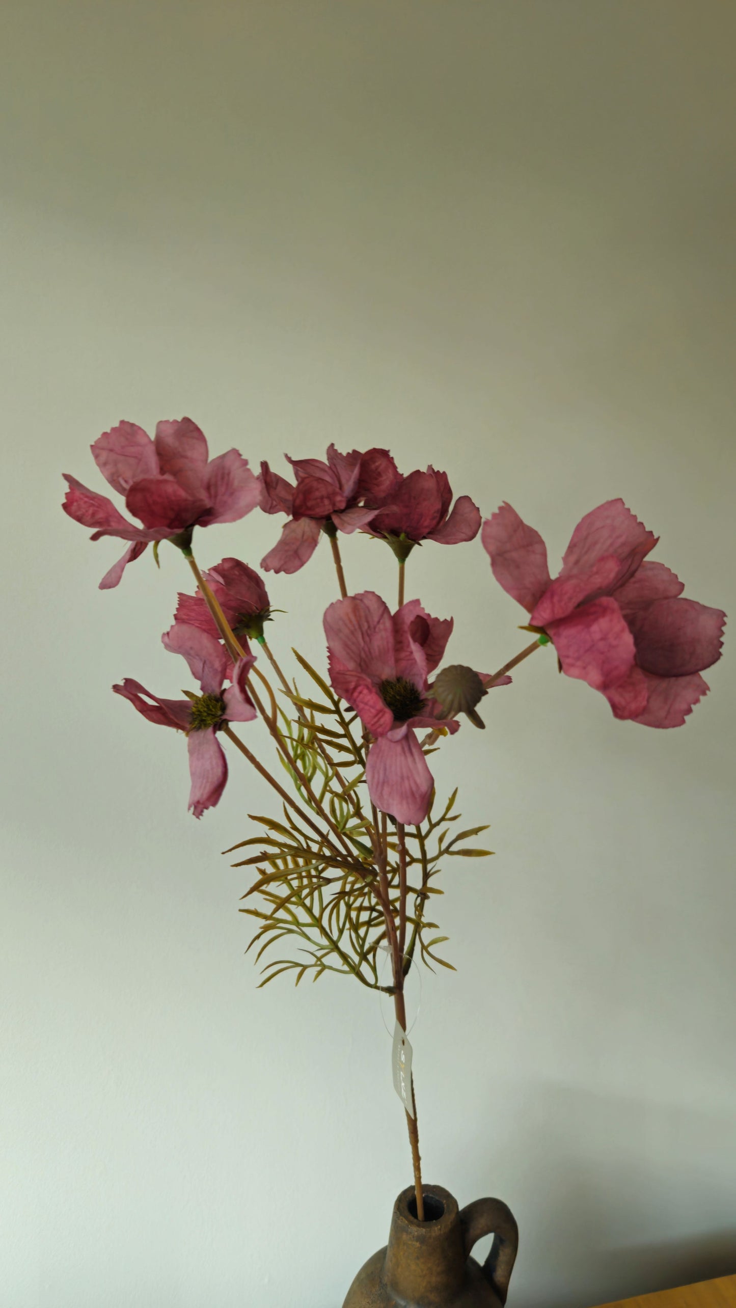 Brynxz Cornus Kousa Aubergine