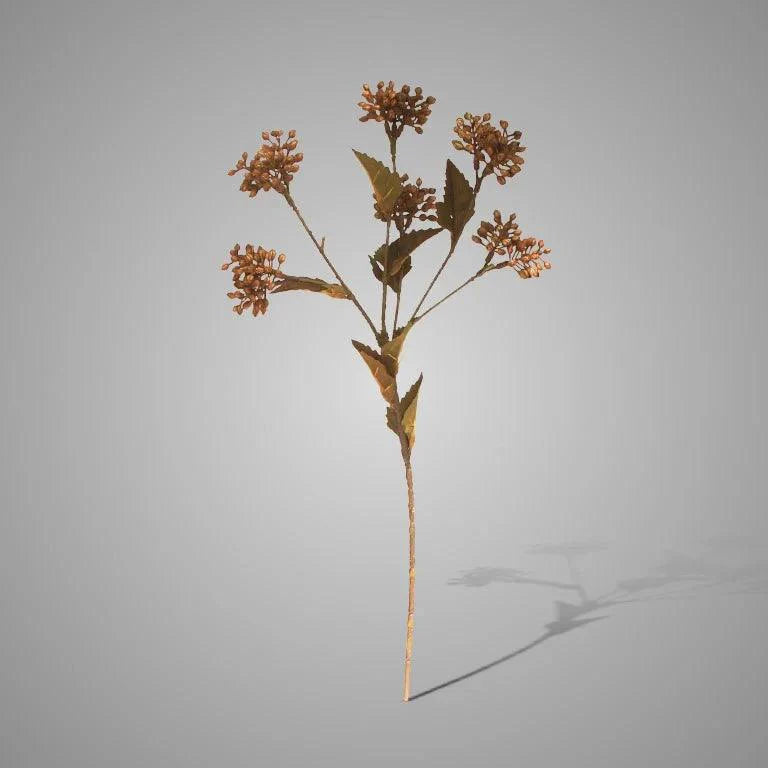 Brynxz Sedum Fructus Brown - Brynxz Online By O zo sfeervol