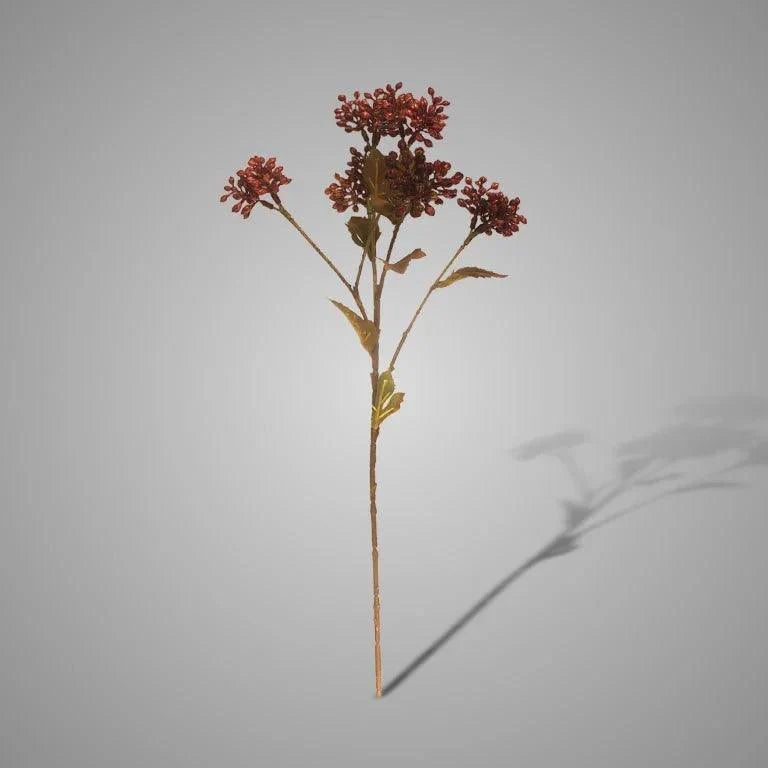 Brynxz Sedum Fructus Red - Brynxz Online By O zo sfeervol