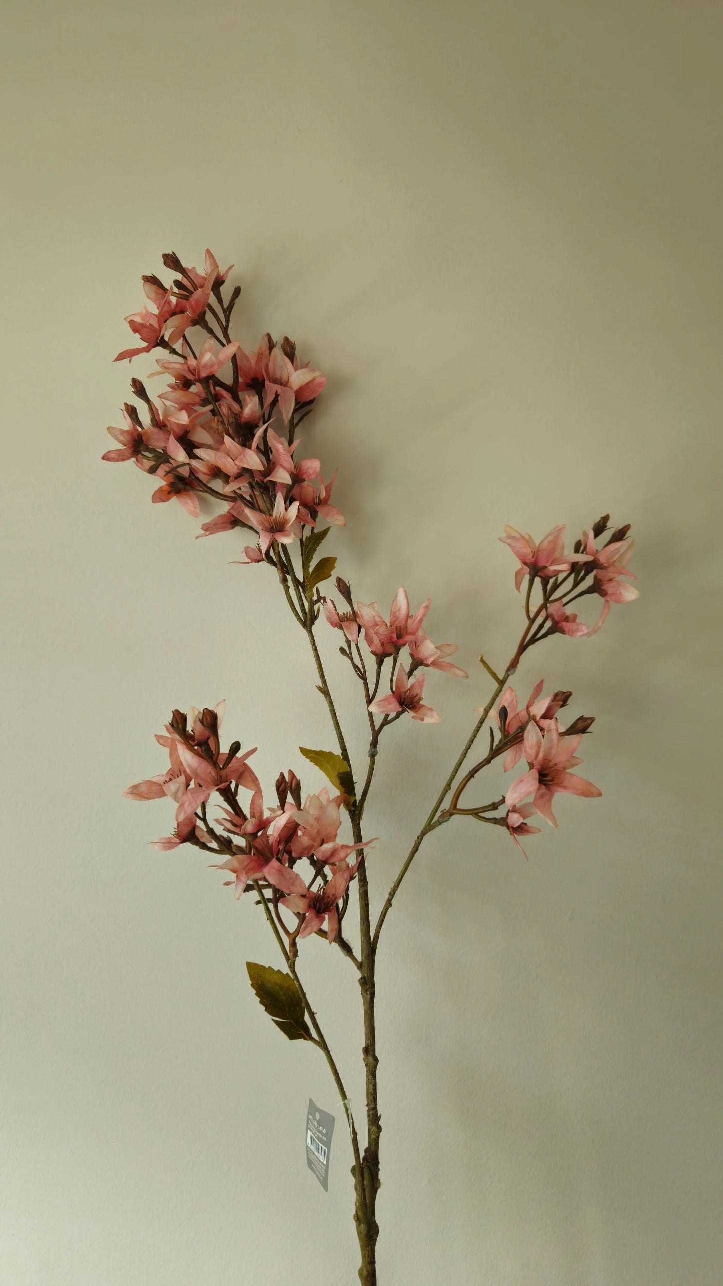 Brynxz Forsythia Grande Ant. Pink - Brynxz Online By O zo sfeervol