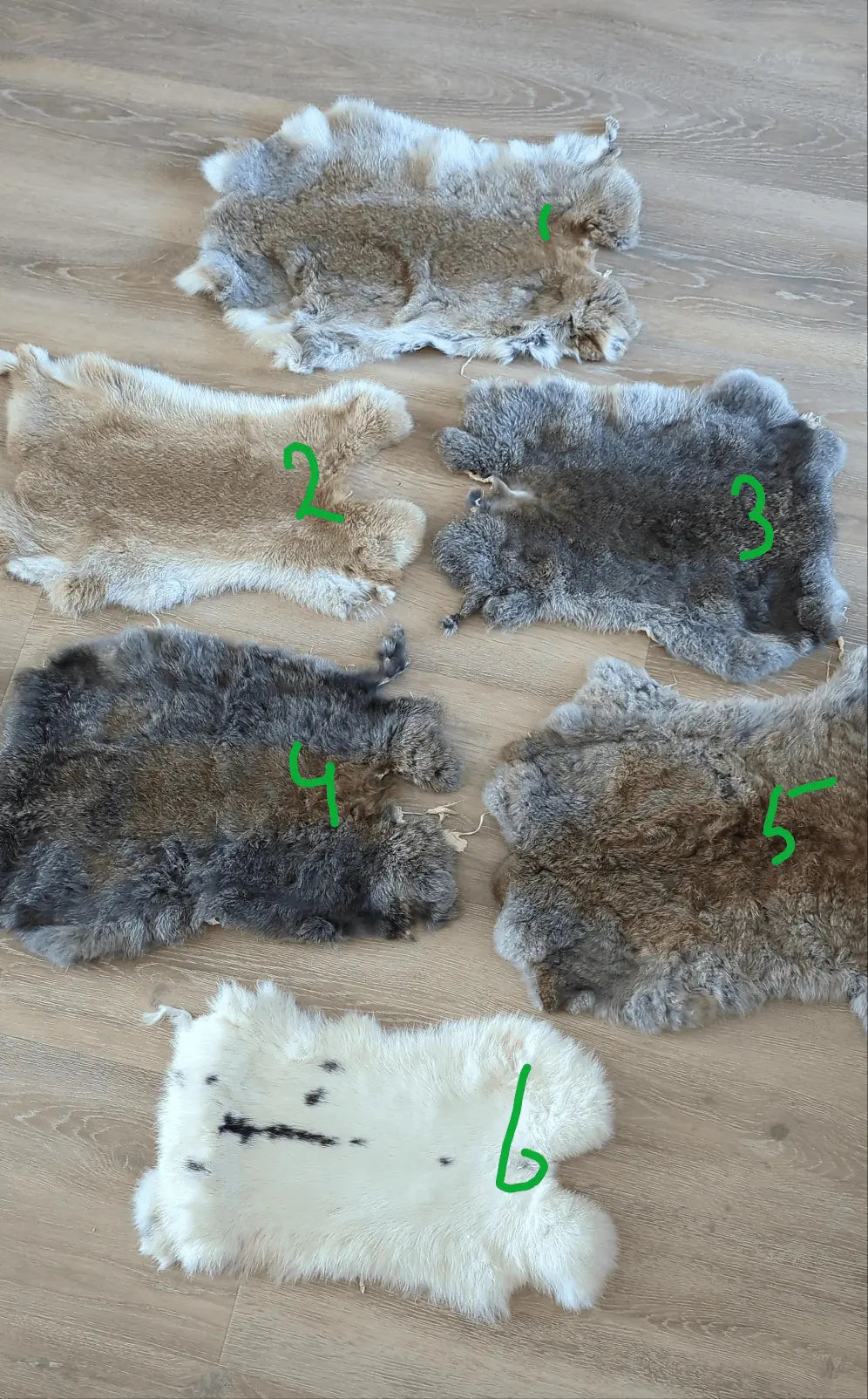 Konijnen bondjes - O zo sfeervol