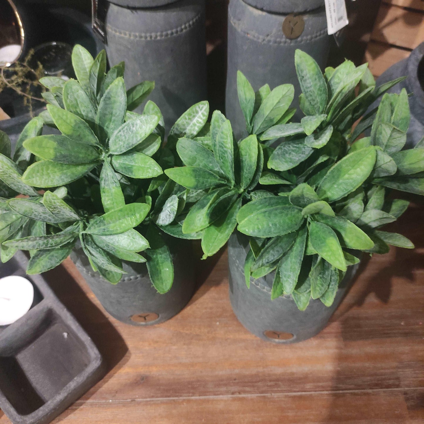 Brynxz Olivenblatt busch 25 cm - Brynxz Online By O zo sfeervol