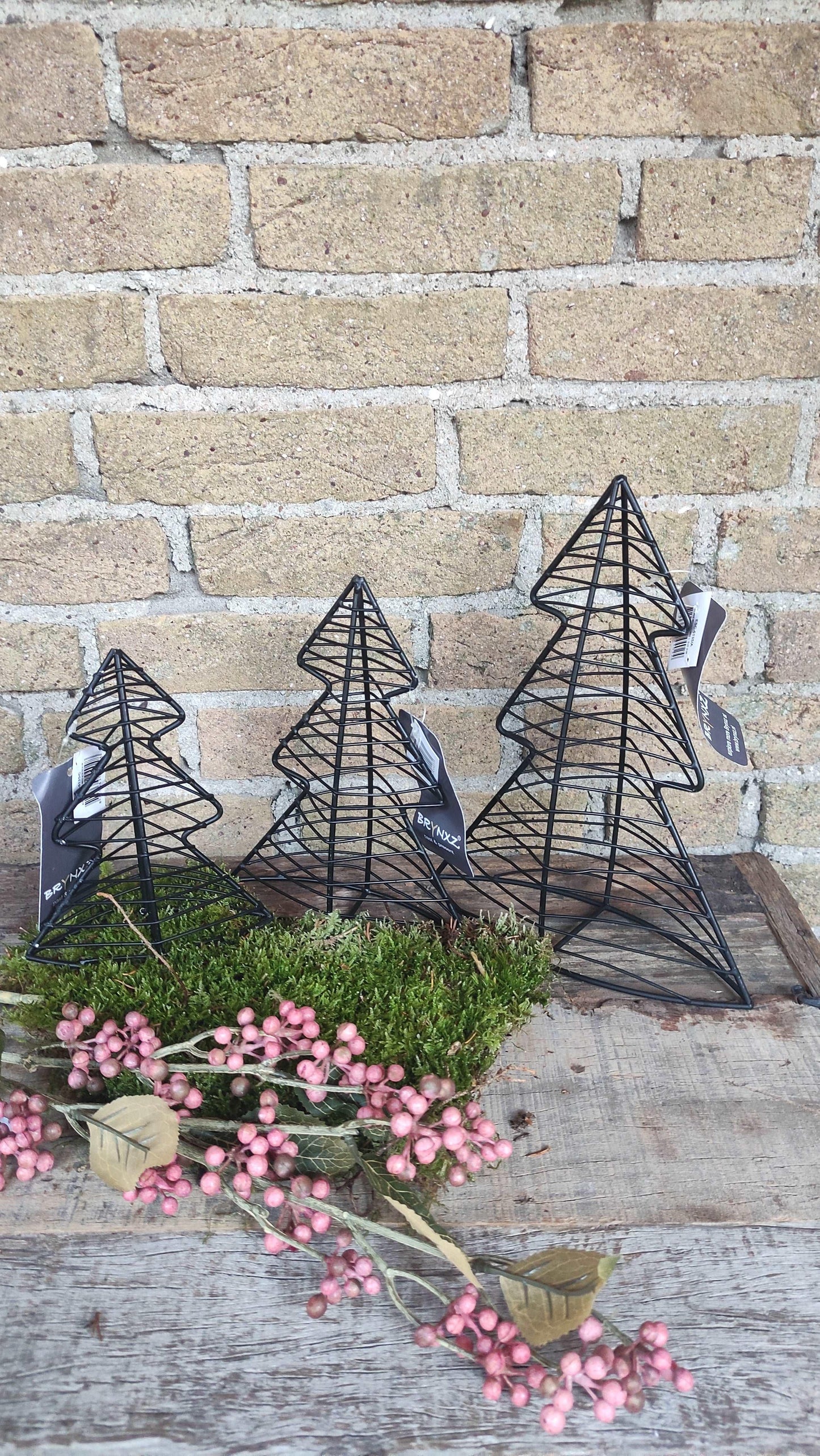 Brynxz X-TREE MINIMALISTIC S - Brynxz Online By O zo sfeervol