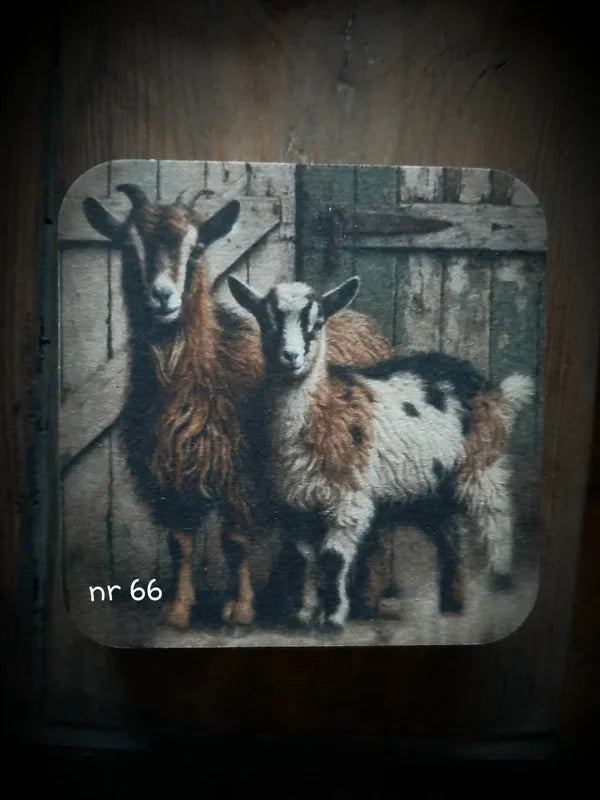 Onderzetter nr 66 O zo sfeervol