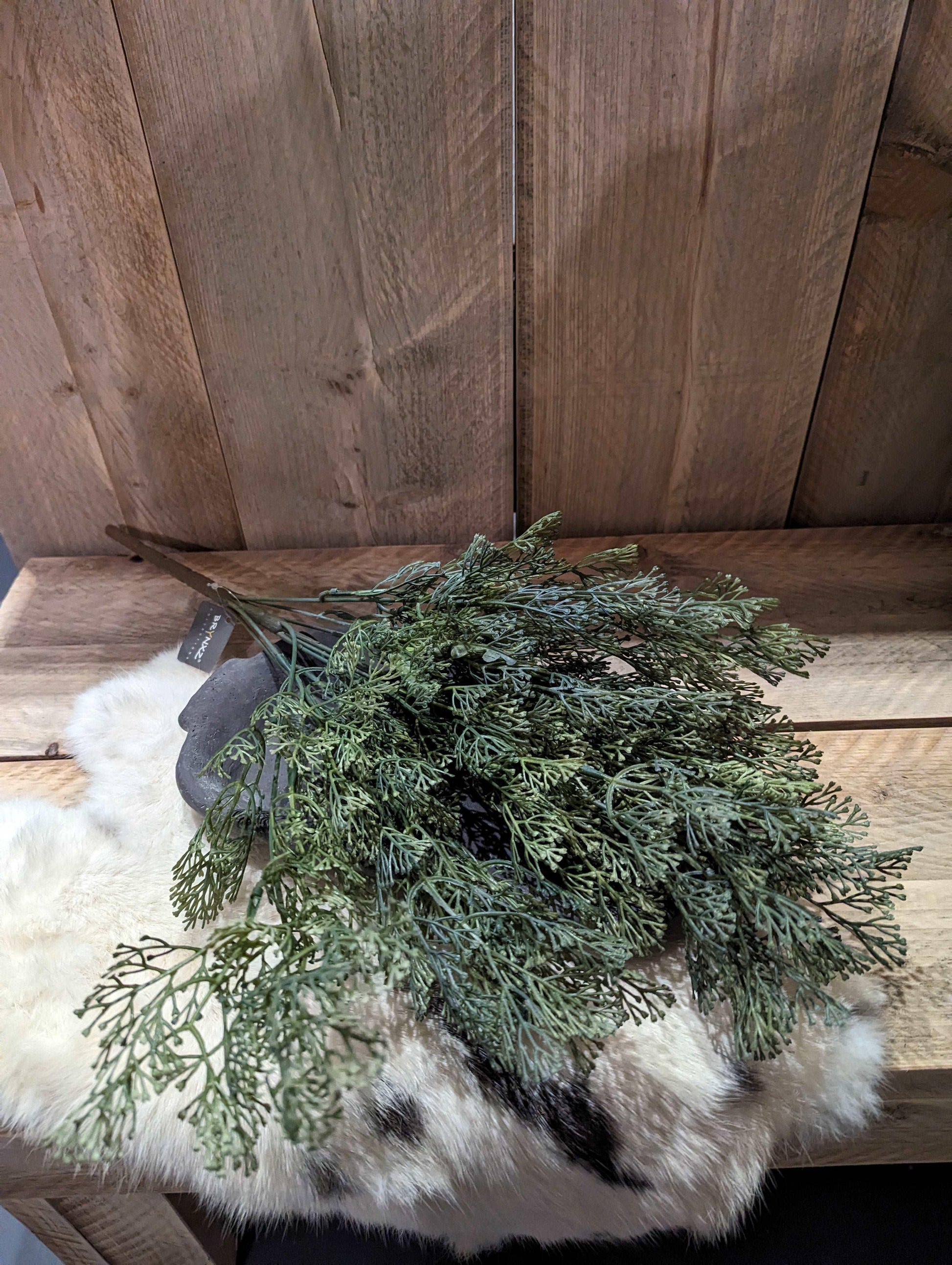 Brynxz Dillweed Bush de luxe - Brynxz Online By O zo sfeervol