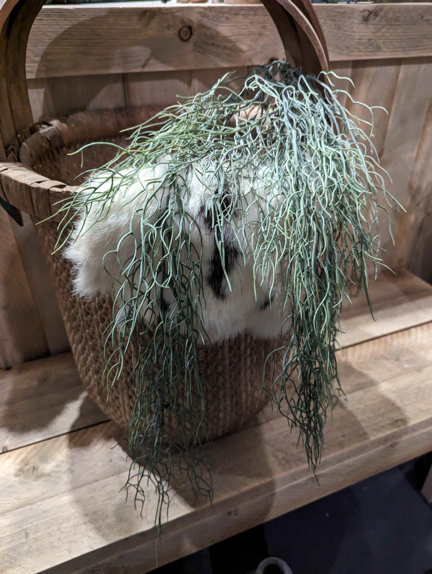 Brynxz Hanger Letheria - Brynxz Online By O zo sfeervol