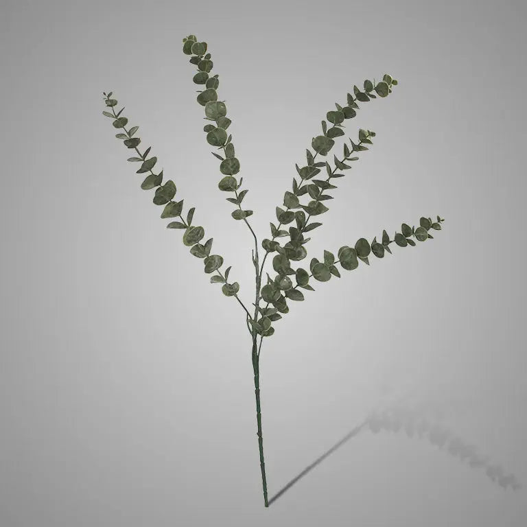 Sylxz Eucalyptus Stem Grey Green Brynxz Online