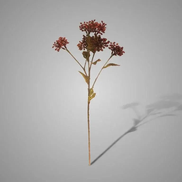 Sylxz Sedum Fructus Red Brynxz Online