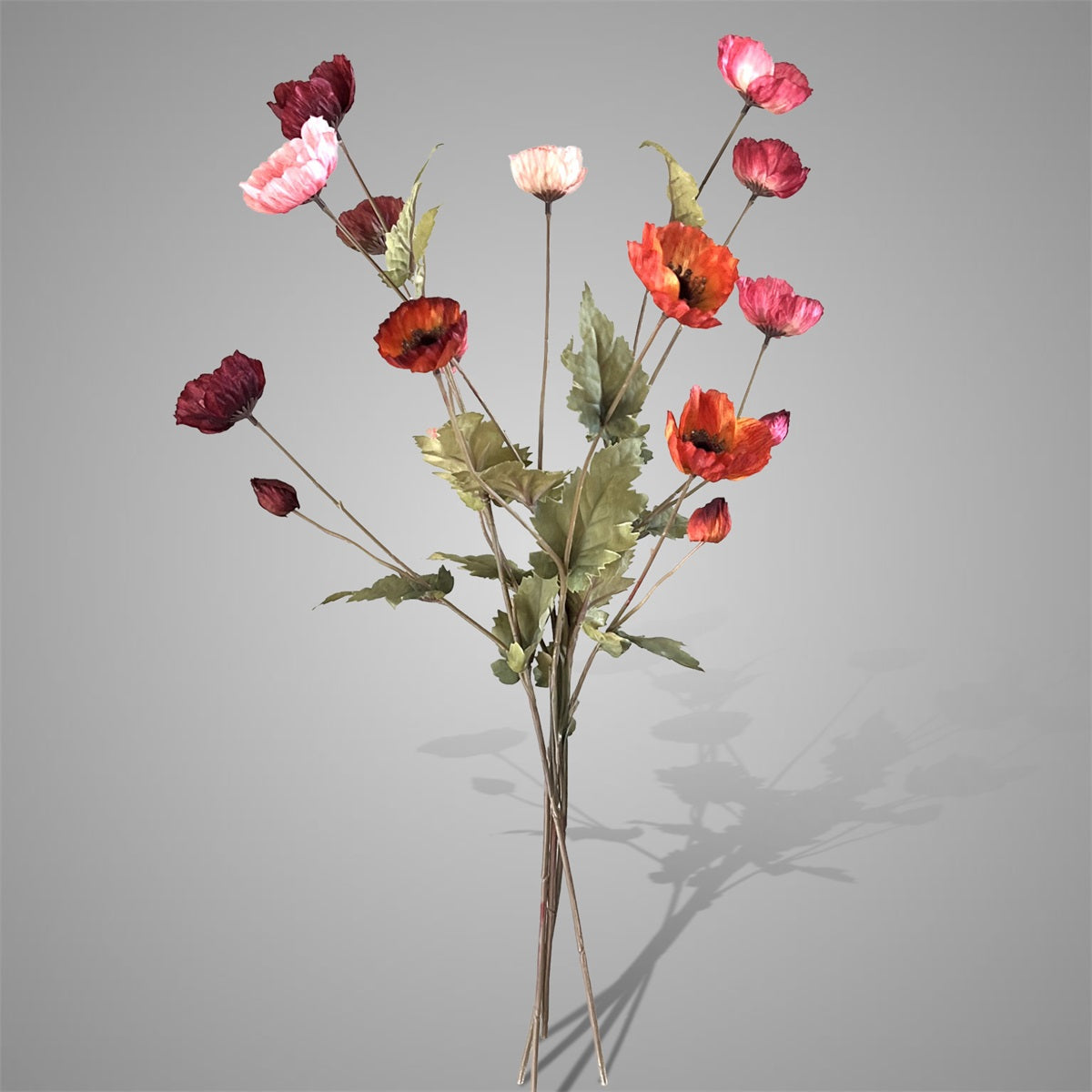 Sylxz Poppy Autumn range
