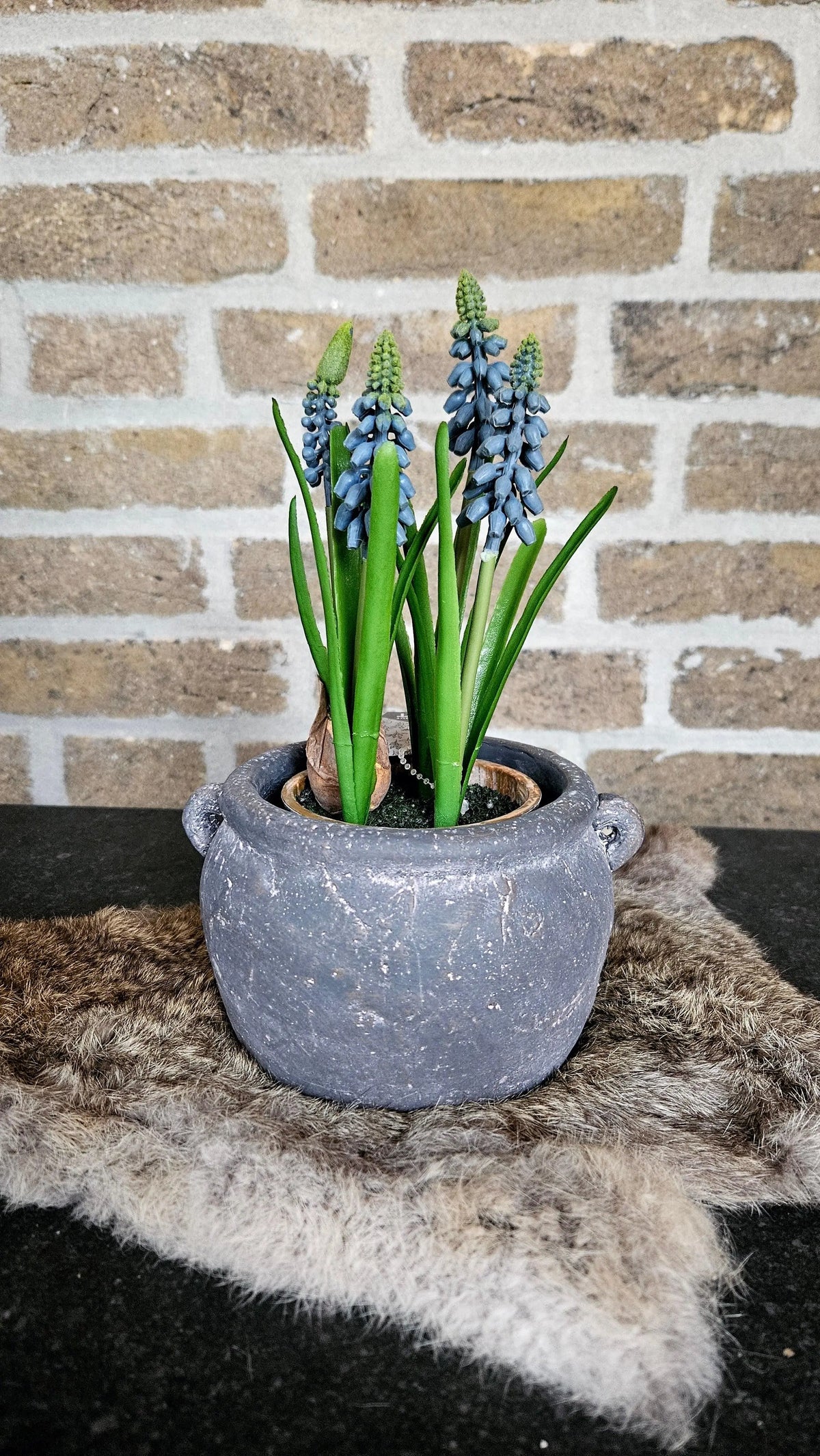 Blauwe Druif in Pot sfeerfoto – Zijden Kunstbloem | Brynxzonline.nl