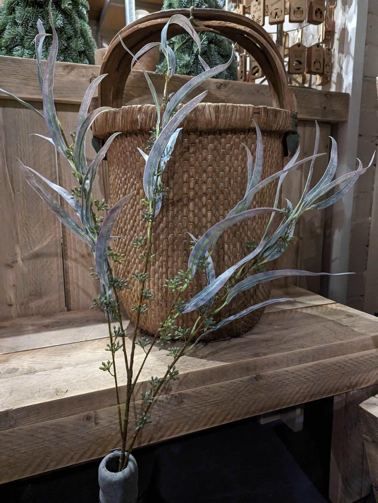 Sylxz Eucalyptus Fructus sfeerfoto – Decoratieve Kunsttak | Brynxzonline.nl