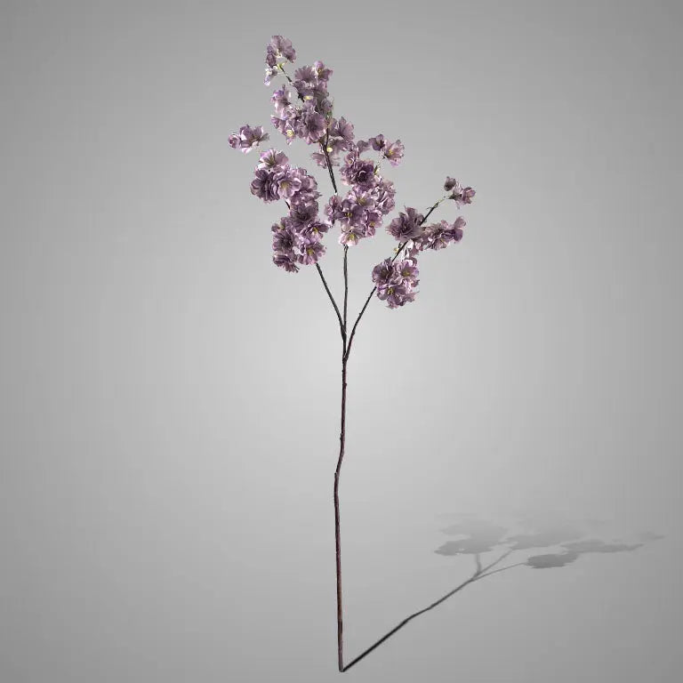 Sylxz Prunus Sakura Light Purple 100 cm – Sylxz bloemtak