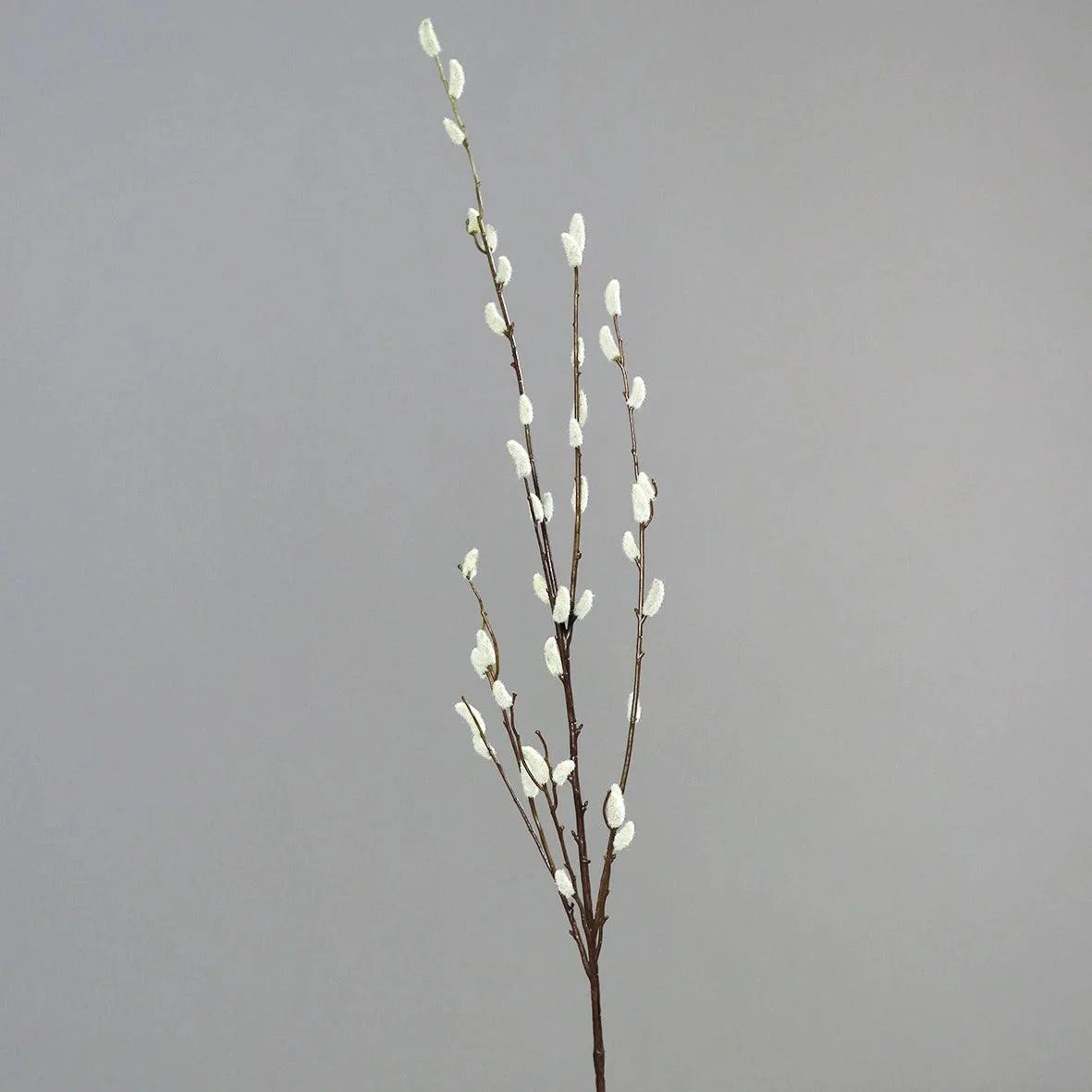 Brynxz decoratietak Katjes - Brynxz Online By O zo sfeervol