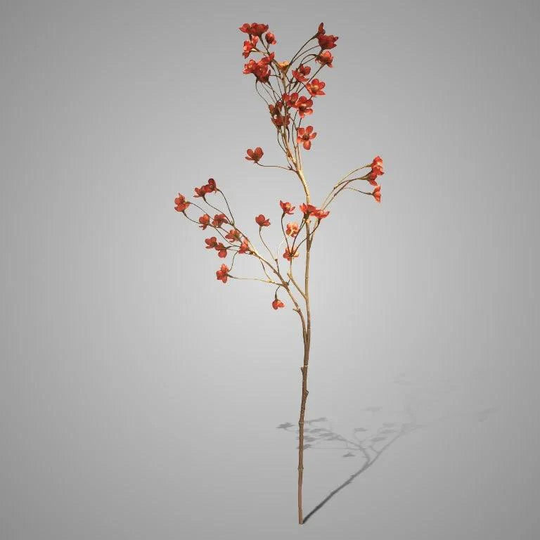 Brynxz Cornus Orange - Brynxz Online By O zo sfeervol