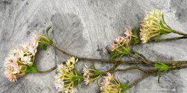 Brynxz Bouvardia spray 85 cm - Brynxz Online By O zo sfeervol