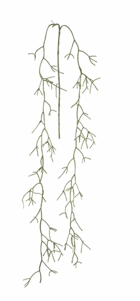 Brynxz RhipsalishÄngezweig 142 cm - Brynxz Online By O zo sfeervol