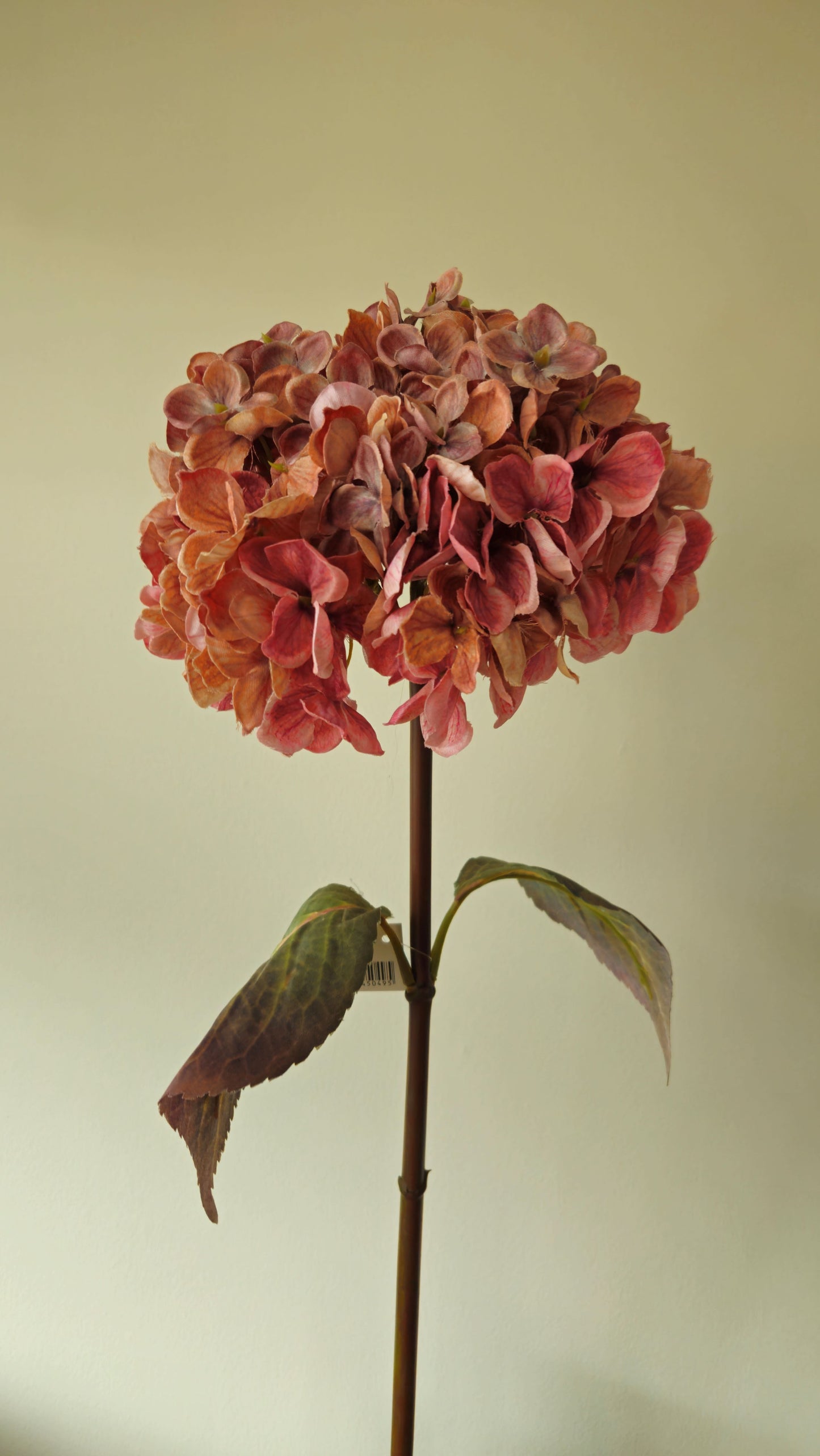 Brynxz Hydrangea Pink