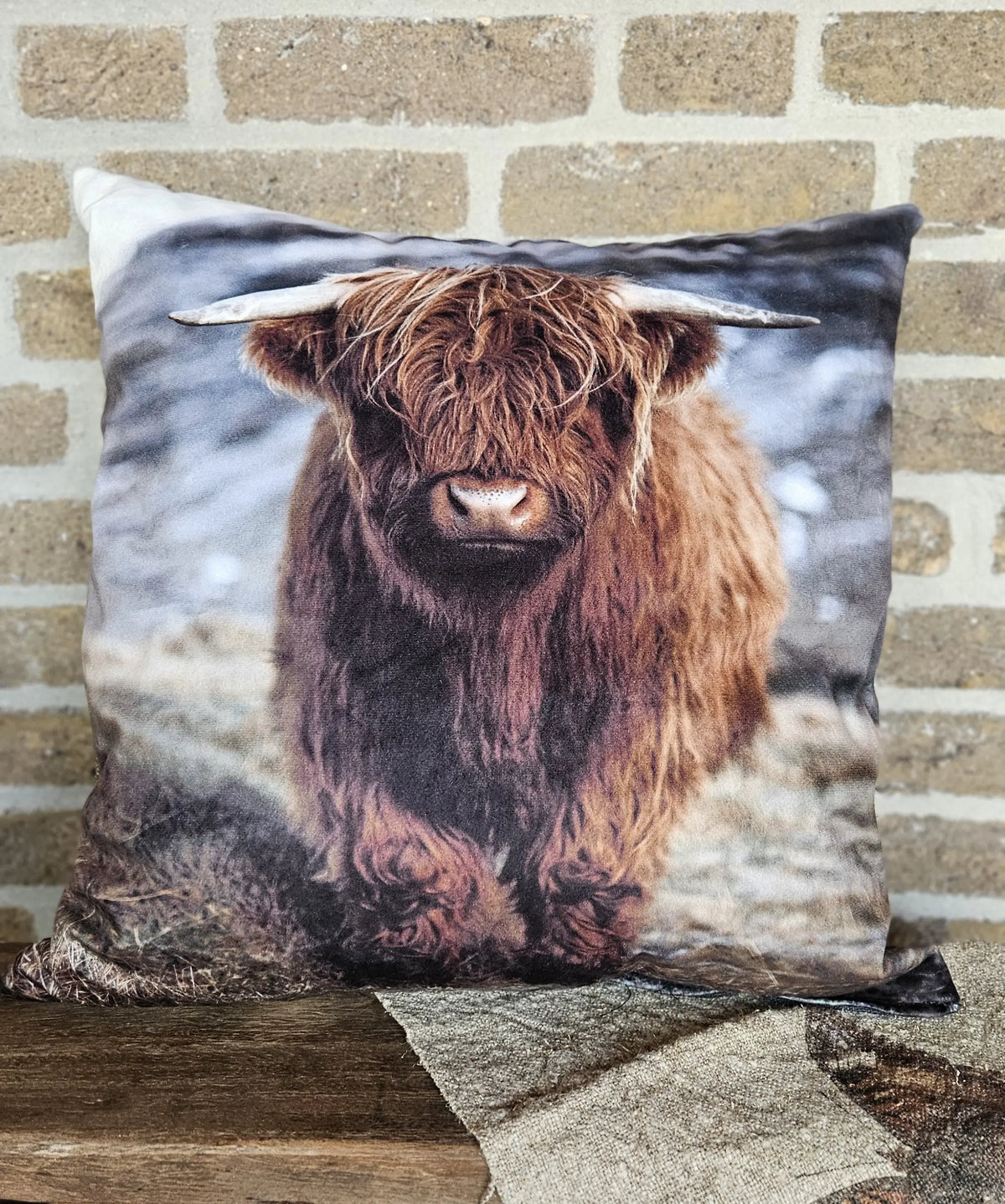Kussen Schotse Hooglander – Landelijke Decoratie Accessoire | Brynxzonline.nl