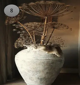 Onderzetter nr 8 O zo sfeervol