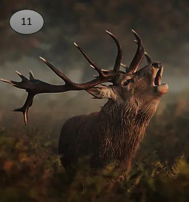 Onderzetter nr 11 O zo sfeervol